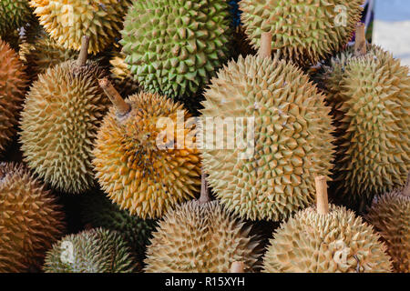 Eine Menge von spiky und Gelb durian Früchten im Markt Stockfoto