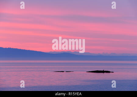 Dämmerung Himmel über Haro Strait und die San Juan Inseln, mit Seal Rocks, Victoria (Cordova Bay), BC, Kanada Stockfoto