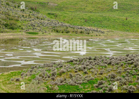 Beschmutzt, See, in der Nähe von Osoyoos, BC, Kanada Stockfoto