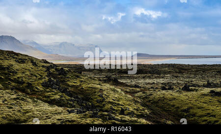 Lavafeld Island Stockfoto