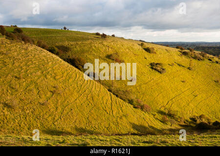 The Devil's Knettrog im späten Herbstlicht am Nachmittag, Wye Downs, Kent, UK, Teil der Kent Downs AONB. Es entstand während der Peri-Vergletscherung. Stockfoto