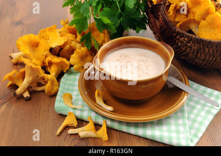 Golden pfifferling Pilz Cremesuppe in Schüssel mit frischer Petersilie. Stockfoto