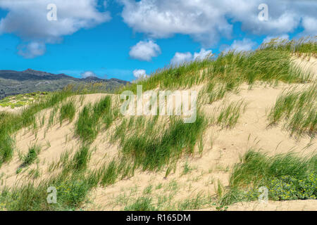 Weiße Wolken am blauen Himmel über Dünen Stockfoto