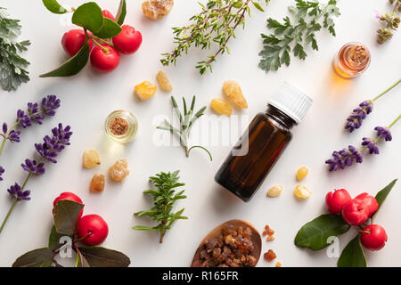 Flaschen des wesentlichen Öls mit Weihrauch, Wermut, Wintergrün und anderen Kräutern auf weißem Hintergrund Stockfoto