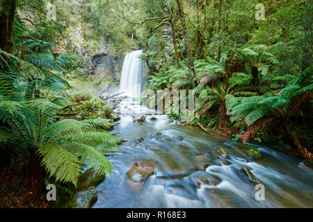 Hopetoun fällt in den Regenwald, Great Otway National Park, Victoria, Australien Stockfoto