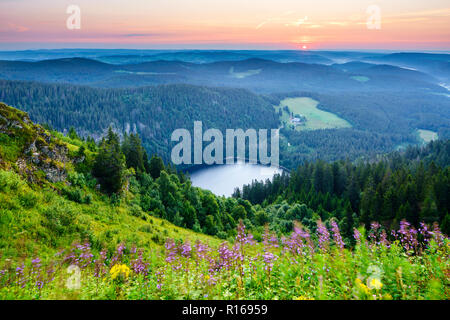 Blick vom Feldberg auf den Feldsee, Sunrise, Schwarzwald, Baden-Württemberg, Deutschland Stockfoto