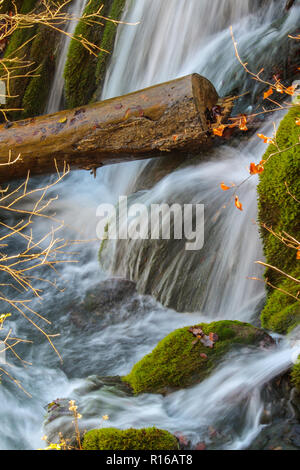 Isolierte Trunk auf einen kleinen Wasserfall, den Nationalpark Plitvice Kroatien Stockfoto