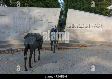 Tiere im War Memorial, Hyde Park, London Stockfoto