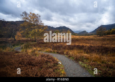 Fotos von der Nördlichen Lake District, Derwent Water, Brandlehow Woods und Lodore Falls, Natur und natürliche Aufnahmen mit Elementen des Menschen. Stockfoto