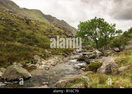 Afon Nant Peris, Fluss, durch Llanberis Pass in Snowdonia, Gwynedd, Wales. Stockfoto