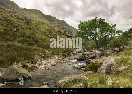 Afon Nant Peris, Fluss, der durch Llanberis Pass in Snowdonia, Gwynedd, Wales. Stockfoto