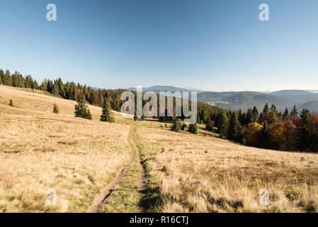 Hala Rycerzowa Bergwiese mit Hütte, bunten Baum, Wanderweg und Hügel auf dem Hintergrund im Herbst Beskid Zywiecki bergen in Polen Stockfoto