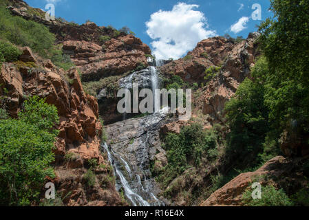 Johannesburg, Südafrika, 9. November 2018. Die Crocodile River fließt in die Walter Sisulu Botanischer Garten, am späten Morgen Freitag. Credit: Eva-Lotta Jansson/Alamy leben Nachrichten Stockfoto