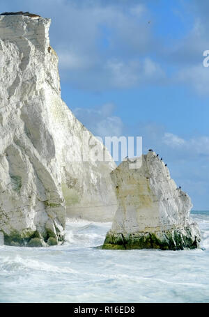 Seaford. East Sussex, UK. 9. November 2018. Kreidige weißes Wasser umgibt die Kreidefelsen von Seaford, East Sussex. Die milchige Farbe wird durch die raue See bis Rühren gelöst Chalk aus den letzten Klippe fällt erstellt. Credit: Peter Cripps/Alamy leben Nachrichten Stockfoto