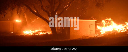 Oak Park, Kalifornien, USA. 9. Nov 2018. . Über Nacht Feuerwehrmänner Schlacht die Santa Rosa Feuer Donnerstag Nacht Freitag Morgen. Eine von zwei Windkraftanlagen Bürste Feuer, dass in Ventura County Donnerstag brach Inmitten noch stärkere Winde früher Freitag bis 8.000 Morgen explodierte. Rund 75.000 Wohnungen sind unter Evakuierungaufträge entlang der Ventura-Los Angeles Grenze. Foto von Gene Blevins/ZumaPress Credit: Gene Blevins/ZUMA Draht/Alamy leben Nachrichten Stockfoto