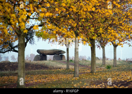 Drosa, Deutschland. 07 Nov, 2018. Der große Stein Grab "die Bösen Keller'. Das Grab stammt aus der Jungsteinzeit und wurde ursprünglich unter einem Erdhügel befindet. Credit: Klaus-Dietmar Gabbert/dpa-Zentralbild/ZB/dpa/Alamy leben Nachrichten Stockfoto