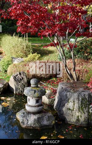 London, Großbritannien. 9 Nov, 2018. UK Wetter sonnig in London, japanische Kyoto Garden, Holland Park, Kensington, London.UK Credit: michael Melia/Alamy leben Nachrichten Stockfoto