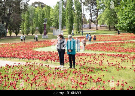 Canberra, Australien. 9. November 2018. 62.000 Handgemachte Mohnblumen füllen die Gärten am War Memorial in Canberra, je ein Mann für einen australischen Soldaten während des Zweiten Weltkrieges 1 Credit getötet: Michael Miller/Alamy leben Nachrichten Stockfoto