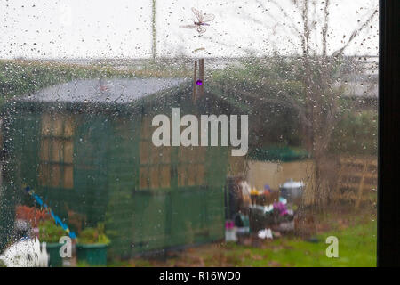 Ashford, Kent, Großbritannien. 10 Nov, 2018. UK Wetter: nassen und windigen Wetter für viel des Tages Prognose in Ashford, Kent. Hochwasserwarnungen sind in einigen Teilen des Landes mit Temperaturen im Bereich von 10 °C. Schauen durch einen regen Fenster auf nassen Garten gewässert. © Paul Lawrenson 2018, Foto: Paul Lawrenson/Alamy leben Nachrichten Stockfoto