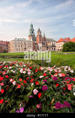 Schloss Wawel, der Kathedrale und der Garten im Vordergrund. Stockfoto