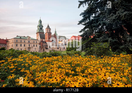 Schloss Wawel, der Kathedrale und der Garten im Vordergrund. Stockfoto