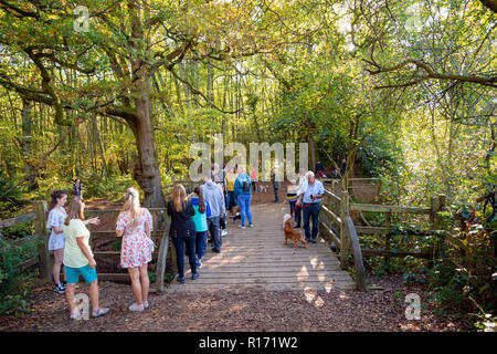 The Pooh Sticks Brücke von der Winnie-the-Pooh stories in Ashdown Forest, East Sussex, Großbritannien Stockfoto