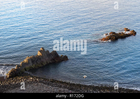 Eine Person ist das Schwimmen im blauen Wasser des Atlantischen Ozeans. Schwarzer Sandstrand Praia Formosa auf der Insel Madeira, Portugal Stockfoto