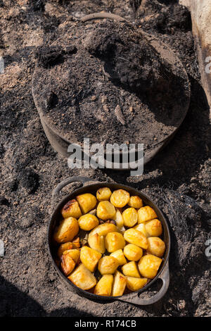 Traditionelle ouessant Insel geschmortes Lamm, unter der Erde gegart, mit goldenen Kartoffeln, Bretagne, Frankreich Stockfoto