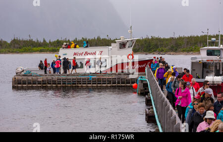 ROCKY HARBOUR, Neufundland, Kanada - Touristen aus tour Boot auf Western Brook Pond zu entlasten, die im Gros Morne National Park. Stockfoto