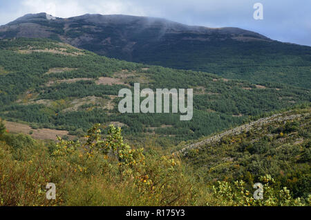 Tejera Negra Buchen- und Eichenwälder in der Sierra de Ayllón, Guadalajara, Spanien Stockfoto