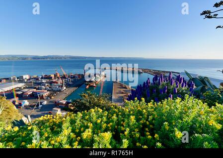 Der Hafen von Napier von Bluff Hill gesehen Stockfoto