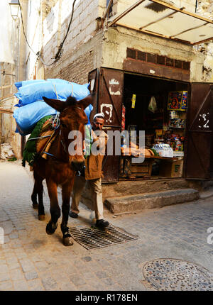 Die engen Gassen und den lebhaften Märkten in der Altstadt von Fez. Stockfoto