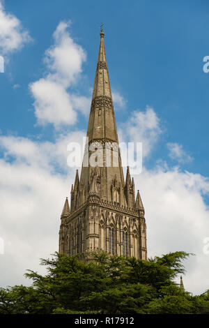 Salisbury Kathedrale Spire Stockfoto