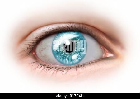 Weibliche menschliche Auge, Illustration. Stockfoto