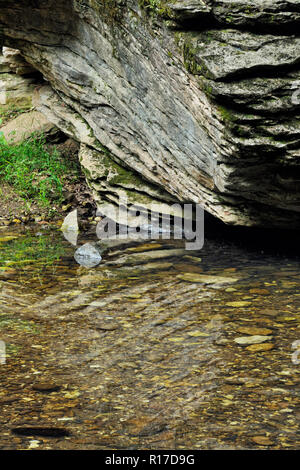 Ein Pool von Wasser in der Clark Creek an die natürliche Brücke entlang der verlorene Tal Trail, Buffalo National River (Ponca Einheit), Arkansas, USA Stockfoto