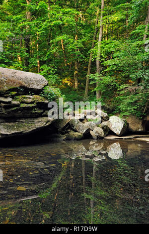 Ein Pool von Wasser in der Clark Creek an die natürliche Brücke entlang der verlorene Tal Trail, Buffalo National River (Ponca Einheit), Arkansas, USA Stockfoto