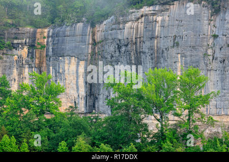 Roark's Bluff im Morgen, Nebel, Buffalo National River-Steel Creek, Arkansas, USA Stockfoto