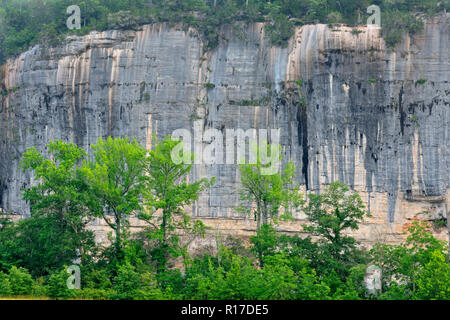 Roark's Bluff im Morgen, Nebel, Buffalo National River-Steel Creek, Arkansas, USA Stockfoto