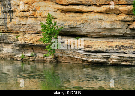 Sandsteinfelsen und Baum mit Blick auf die Buffalo National River, Buffalo National River - Ozark, Arkansas, USA Stockfoto
