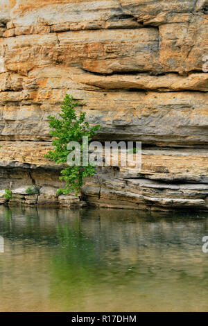 Sandstein Klippen und Bäumen mit Blick auf die Buffalo National River, Buffalo National River - Ozark, Arkansas, USA Stockfoto