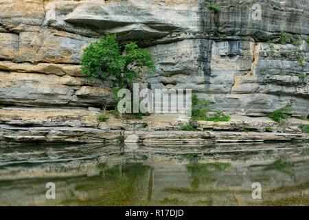 Sandstein Klippen und Bäume in der Buffalo National River, Buffalo National River - Ozark, Arkansas, USA wider Stockfoto
