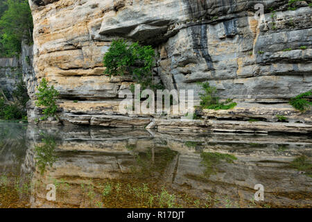 Sandstein Klippen und Bäume in der Buffalo National River, Buffalo National River - Ozark, Arkansas, USA wider Stockfoto