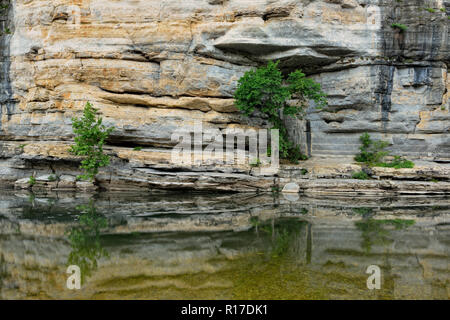 Sandstein Klippen und Bäume in der Buffalo National River, Buffalo National River - Ozark, Arkansas, USA wider Stockfoto