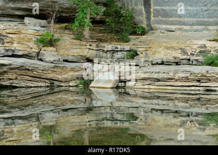 Sandstein Klippen und Bäume in der Buffalo National River, Buffalo National River - Ozark, Arkansas, USA wider Stockfoto