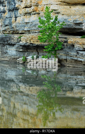 Sandstein Klippen und Bäume in der Buffalo National River, Buffalo National River - Ozark, Arkansas, USA wider Stockfoto