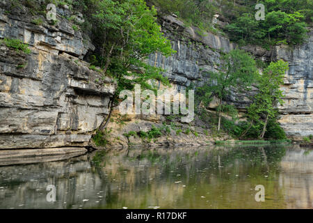 Sandstein Klippen und Bäume in der Buffalo National River, Buffalo National River - Ozark, Arkansas, USA wider Stockfoto