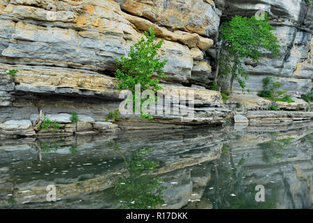 Sandstein Klippen und Bäume in der Buffalo National River, Buffalo National River - Ozark, Arkansas, USA wider Stockfoto