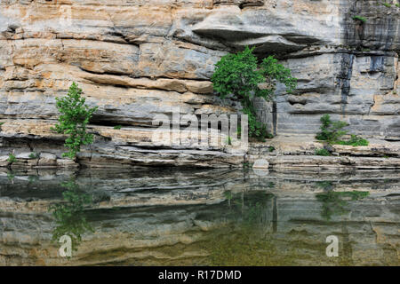 Sandstein Klippen und Bäume in der Buffalo National River, Buffalo National River - Ozark, Arkansas, USA wider Stockfoto