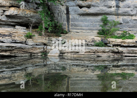 Sandstein Klippen und Bäume in der Buffalo National River, Buffalo National River - Ozark, Arkansas, USA wider Stockfoto