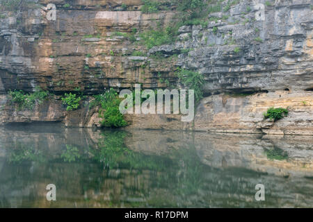 Sandstein Klippen im Morgennebel entlang des Buffalo River, Buffalo National River - Pruitt's Landing, Arkansas, USA Stockfoto